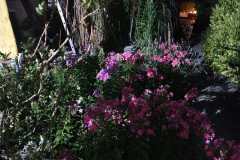 IMG-20230723-WA0005